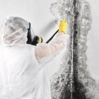 Asbestos Consultancy 0